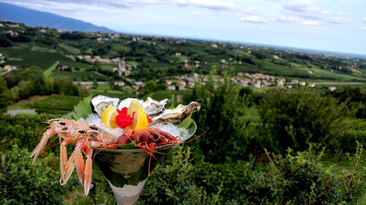 Villa Del Poggio Prosecco Bike Hotel San Pietro Di Feletto Exterior photo